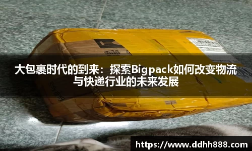 大包裹时代的到来：探索Bigpack如何改变物流与快递行业的未来发展
