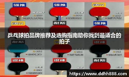 乒乓球拍品牌推荐及选购指南助你找到最适合的拍子