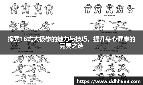 探索16式太极拳的魅力与技巧，提升身心健康的完美之选